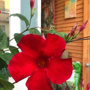 Meet your Posher, Jess